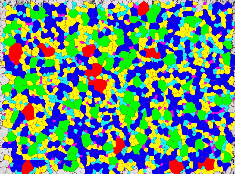 ¹⿨΢ͲϷ